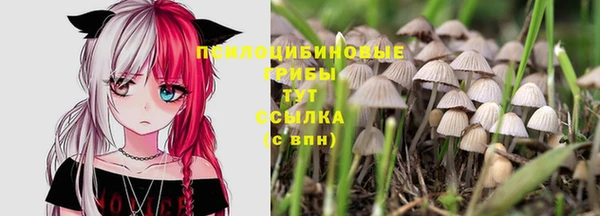 мескалин Балахна