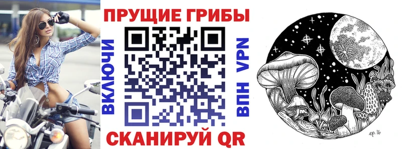 Псилоцибиновые грибы Cubensis  Вольск 